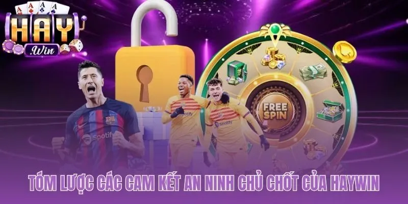 Tổng quan các điểm chính trong chính sách bảo mật Haywin